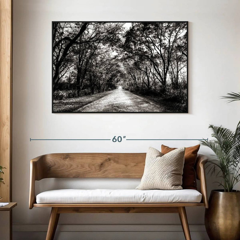 BW Forest Path, 46" X 31", Floating Frame Black