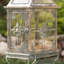 Terrariums en fer / verre Marcel (ensemble de 2)-131342603