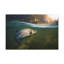 No Frame Print on Canvas-1746576221