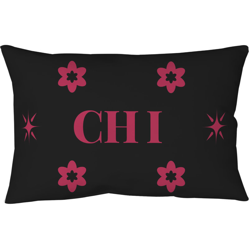 Coussin en coton croisé 20 pouces x 14 pouces Chicago Basketball, Rose/noir