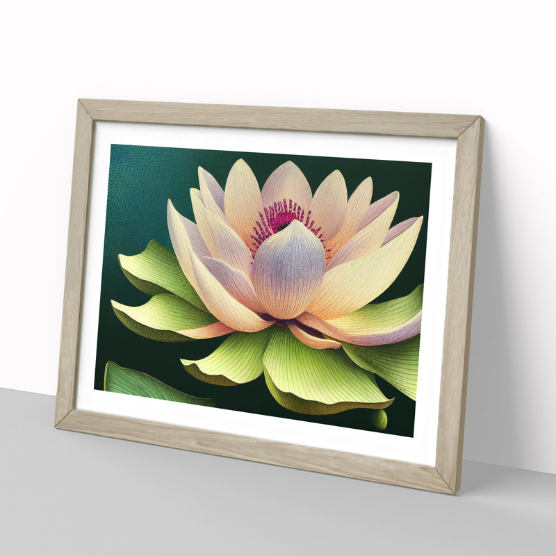 Precious Lotus Flower - Framed Print, 46cm H x 64cm W x 2cm D, Oak Framed