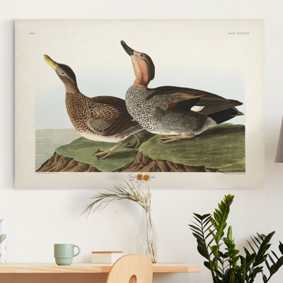 " Pl 348 Galdwell Duck "