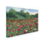 « popy field wood », reproduction d’art sur toile tendue-14808063