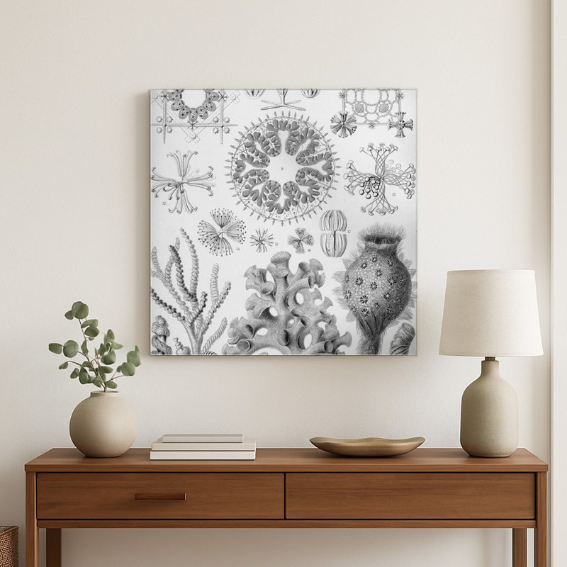Hexactinellae (1904) — Décoration murale carrée en métal, H 12 po x l 12 po