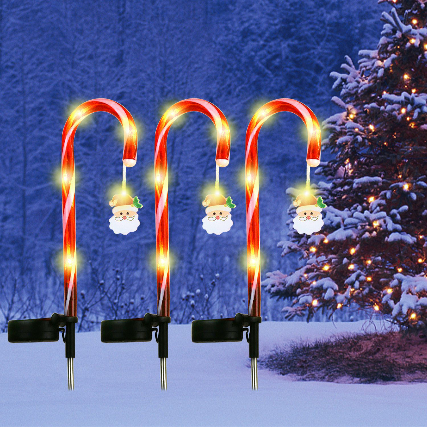 https://assets.wfcdn.com/im/44821370/compr-r85/2274/227471342/christmas-solar-candy-cane-lighted-display.jpg