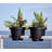 Classic Deck Rail Traditional Plastic Indoor/Outdoor Round Planter-219984327-219984321