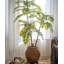 Pot à fleurs en ciment-1724577672
