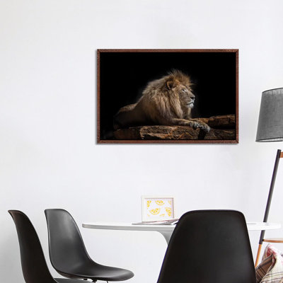 Lazarus by David Whelan - Print on Canvas
