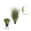 Gazon vert en pot Kellan-22996678