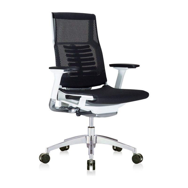 Mesh Executive Chair with Headrest, White, Black