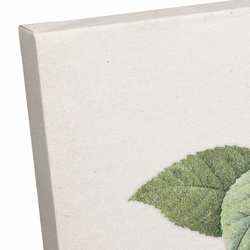 «Just Peachy Vintage Peaches», reproduction sur toile