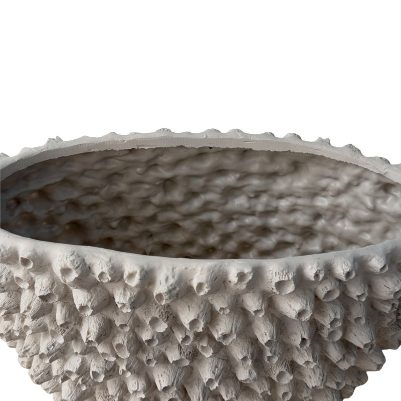 Vase décoratif en polyrésine et corail beige Cole, Cream