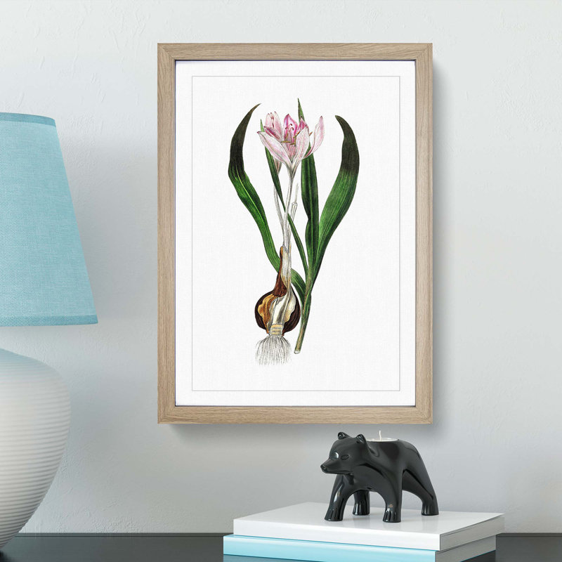 Autumn Crocus Flowers Illustration - Framed Print, Oak Framed, 63cm H x 45cm W x 2cm D