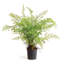 Cunha Faux Fern Plant in Pot