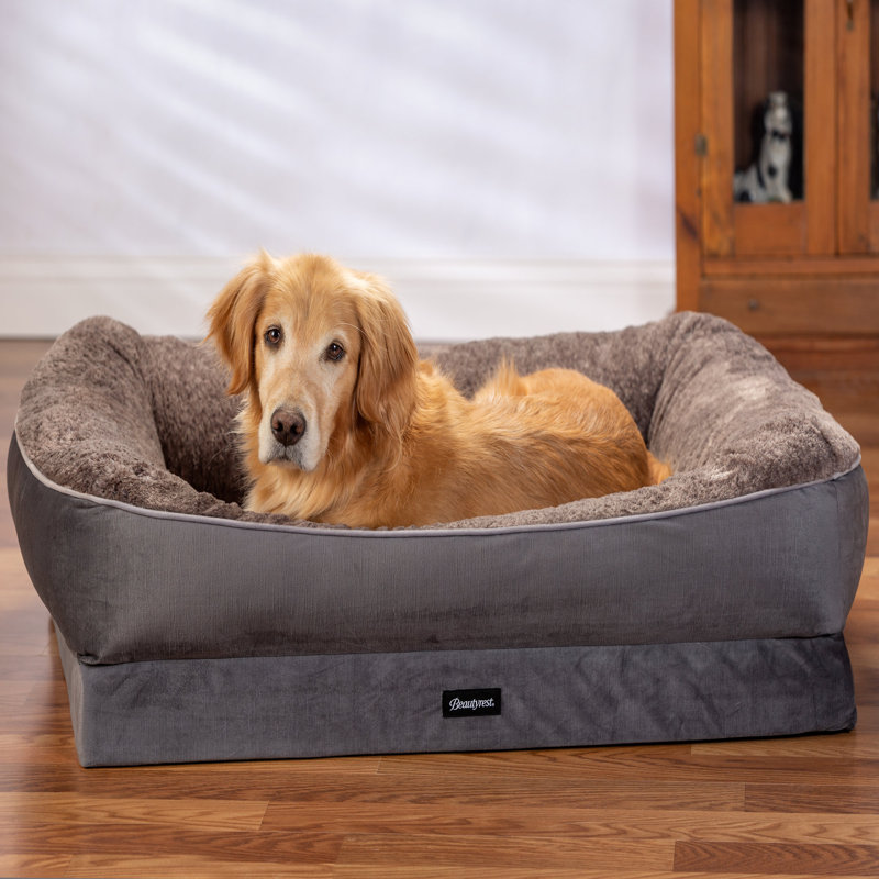 Lit pour animal de compagnie Beautyrest, Grand (l 42 po x P 34 po x H 11 po), Gris