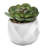 4.33 " H Faux Succulent in Ceramic Pot