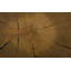 Wood Round Stool, Assorted