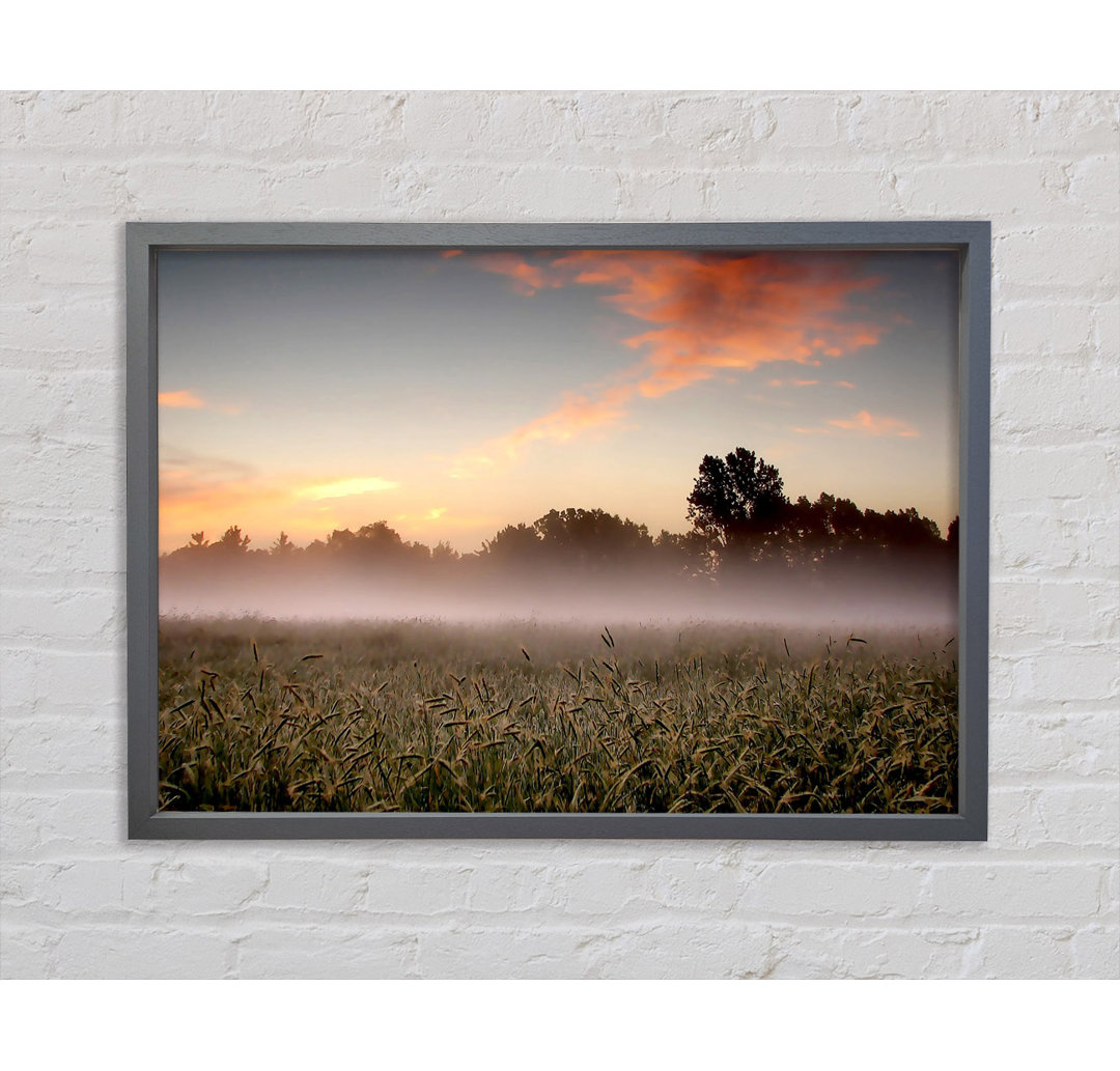 Early Morning Fog - Einzelner Bilderrahmen Kunstdrucke auf Leinwand