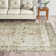 Noe Machine Woven Oriental Area Rug