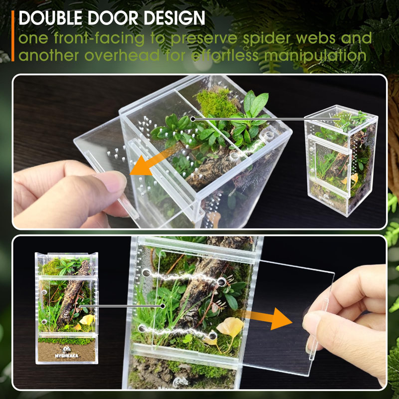 Terrarium pour petits insectes 3 x 3 x 6 pouces
