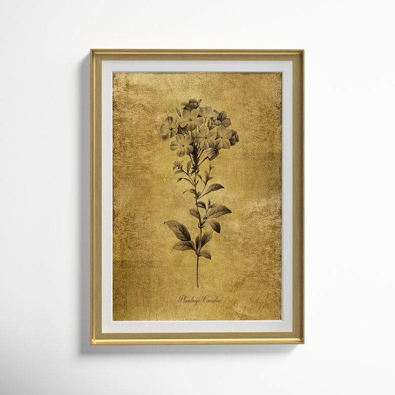 Reproduction d'art encadrée dorée Botanical II, Or, H 30,5 po x l 22,5 po x P 1,5 po