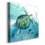 «Delray Sea Turtle I», reproduction d'art sur toile tendue-1060287583