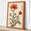 Carnation Study Botanical - Wrapped Canvas-2013688613-2013688621