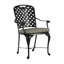 Provance Patio Dining Armchair with Cushion-83260217-83260219-83260240