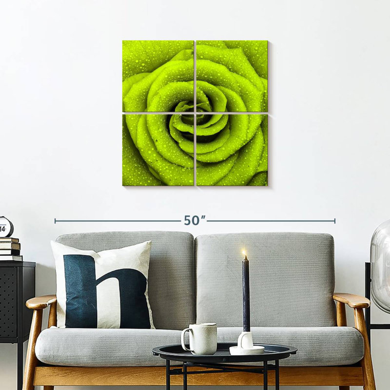 Dewy Green Rose, 26" H x 26" W
