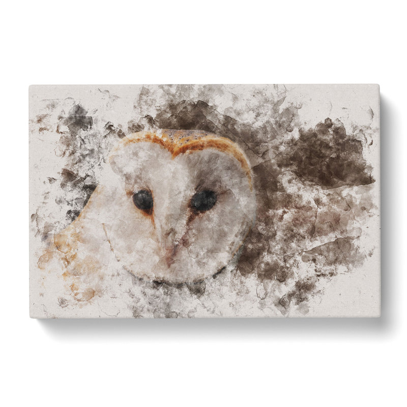 Barn Owl Vol.1 - Wrapped Canvas Print, 40cm H x 60cm W x 3cm D