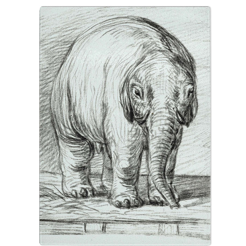 Tempered Glass Baby Elephant Chopping Board, 28.5 cm W x 39 cm L