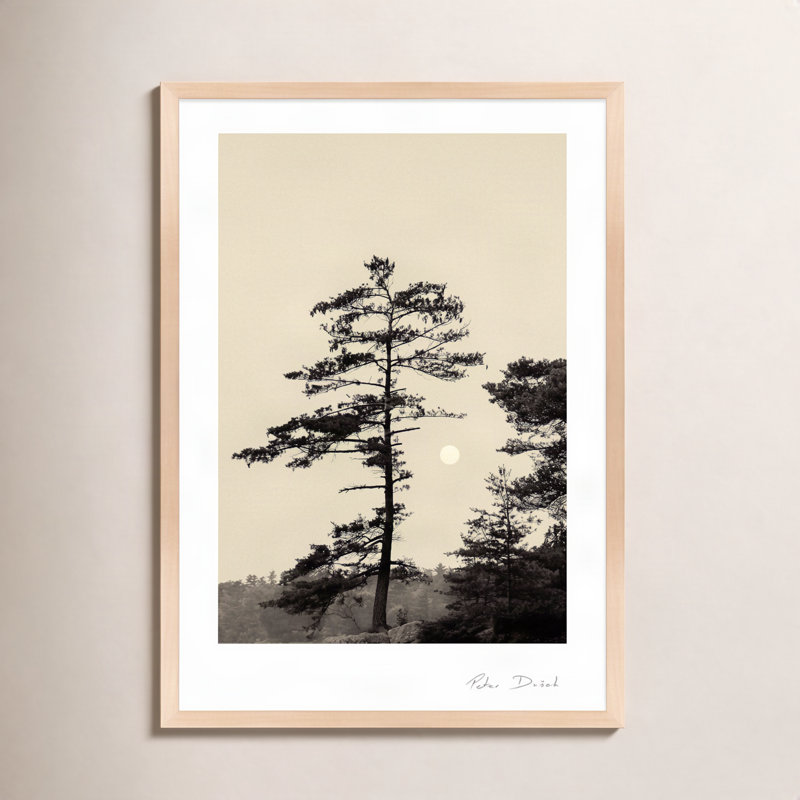 Serenity Print by Peter Dušek, Brown, 25" H x 17.5" W x 1.25" D