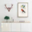 Bird Illustrations PL. 3B by Charles D' Orbigny - Single Picture Frame Painting-55457127-55457126