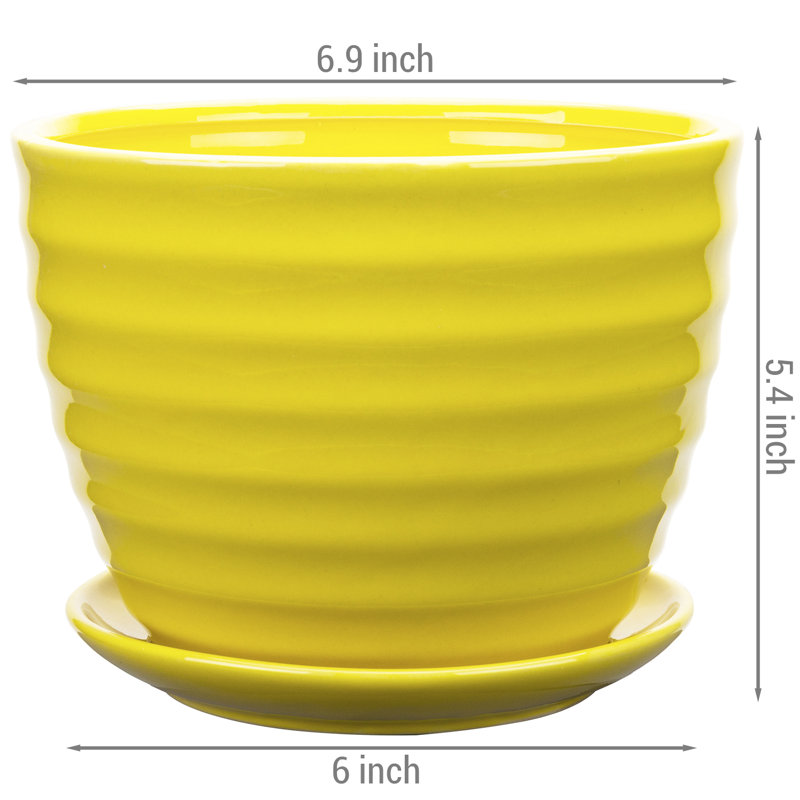 Ceramic Pot Planter