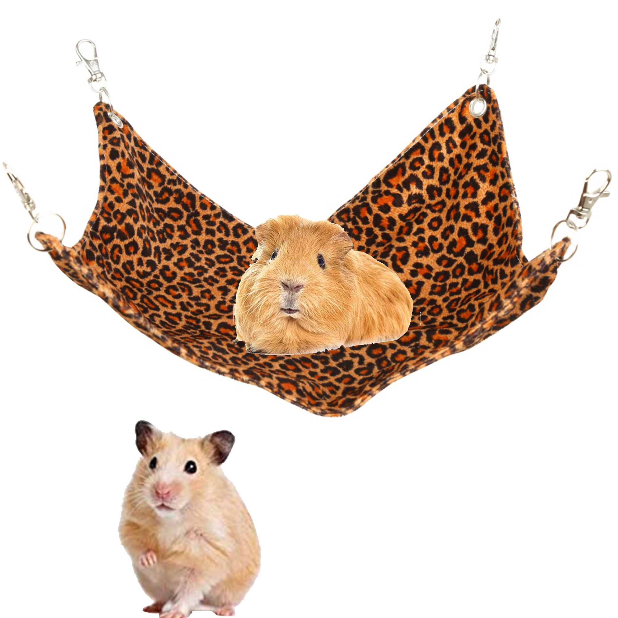 Do Hamsters Attract Mice or Other Rodents? - Small Animal Pets