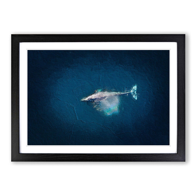 Swimming Dolphin - Picture Frame Painting Print, 27cm H x 36cm W x 2cm D, Black Framed