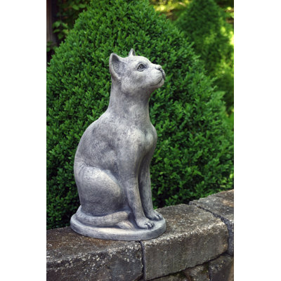 Sitting Cat