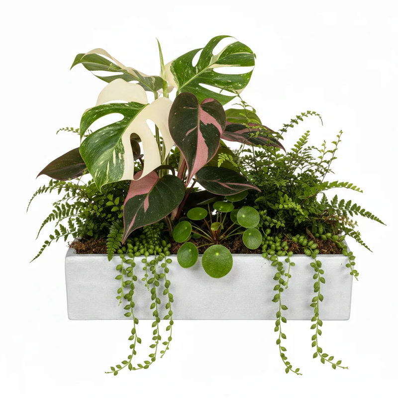Pot de fleurs rectangulaire en ciment au fini mat blanc - H 3,50 po