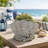 Coastal Clam Shell Planter W Coral Accents, Weathered Gray Terracotta