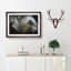 Colourful Elephant - Picture Frame Painting Print-56708790-56708788