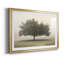 «Trees In The Fog II», reproduction encadrée de qualité supérieure - prête à être accrochée-276530692-276558442-276530691