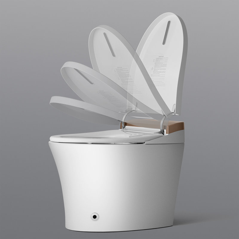 Toilette bidet allongée à double chasse