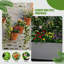 Metal Planter Box with Trellis with Wheels-1800366888-1784459259