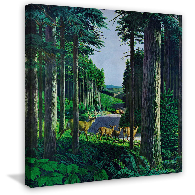 Wrapped Canvas Print, 101cm H x 101cm W x 3.81cm D