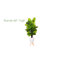 60'' Faux Philodendron Plant in Ceramic Planter
