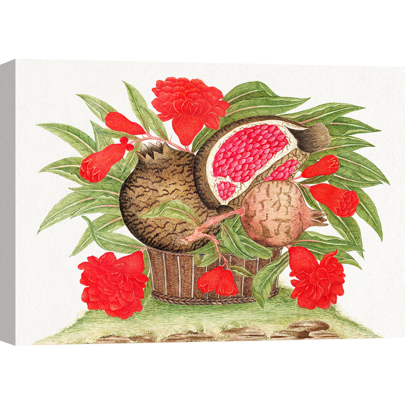Basket Of Pomegranates by Anonymous - Wrapped Canvas Art Prints, 60cm H x 80cm W x 4cm D