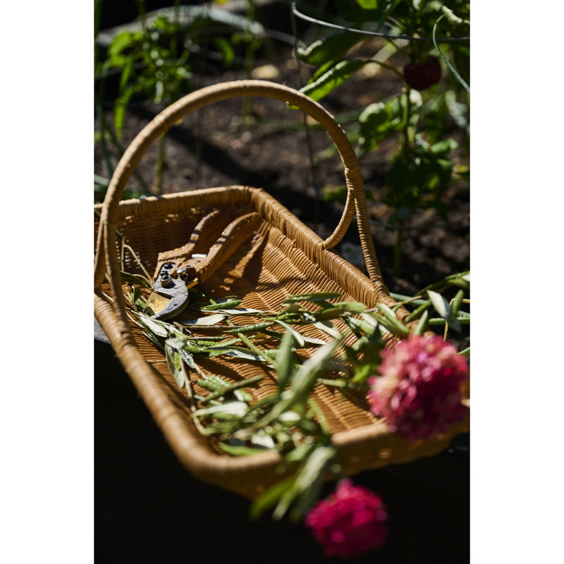 Cisailles de jardinage en aluminium et acier