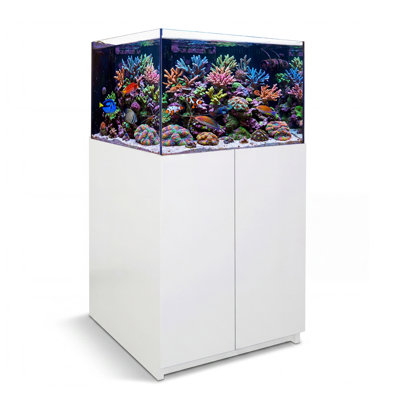  Système d'aquarium sans cadre 115 gallons en verre - réservoir marin ultra transparent avec armoire en aluminium, puisard et plomberie intégrés, blanc