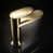 Polished Gold is out of stock