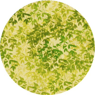 Performance Floral Indoor Rug